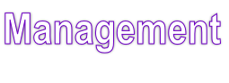 Management